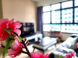 Blk 508B Angsana Breeze @ Yishun (Yishun), HDB 4 Rooms #596829301